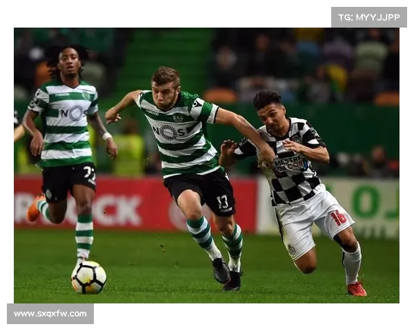 进球成就精彩瞬间,足球场上的致命一击与荣耀时刻 进球成就精彩瞬间,足球场上的致命一击与荣耀时刻