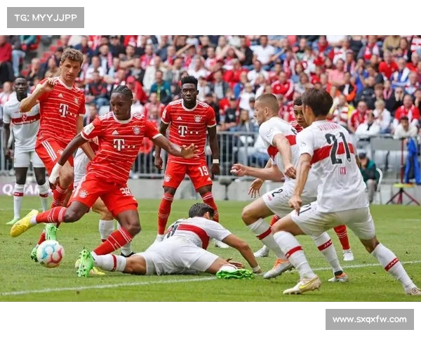 德甲网络平台助力足球迷互动体验全面提升开启全新赛事直播与社交功能 德甲网络平台助力足球迷互动体验全面提升开启全新赛事直播与社交功能