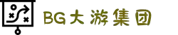 BG大游(集团)唯一官方网站